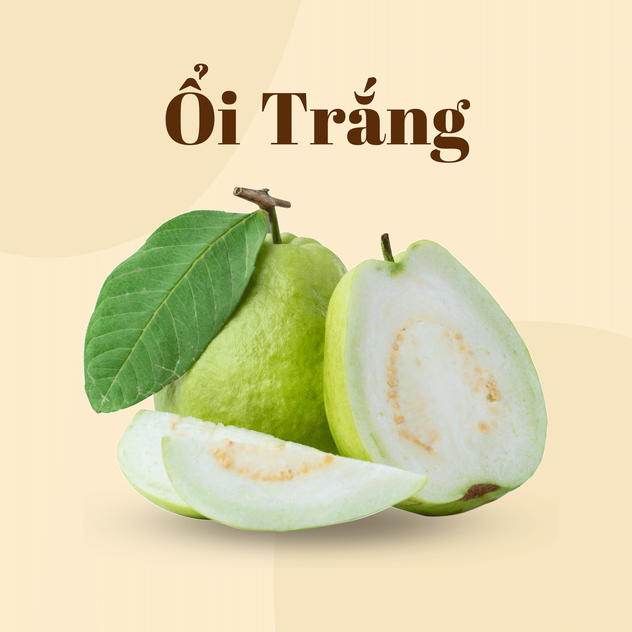 Ổi Ruột Trắng | White Guava | Freeship overnight