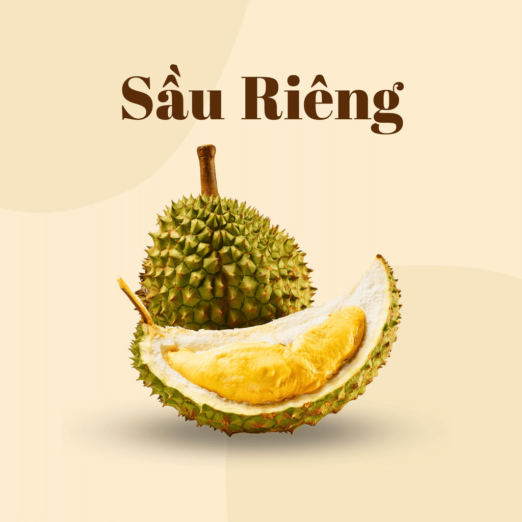 Sầu Riêng Ri6 | Durian Ri6 | Frozen | FREESHIP OVERNIGHT