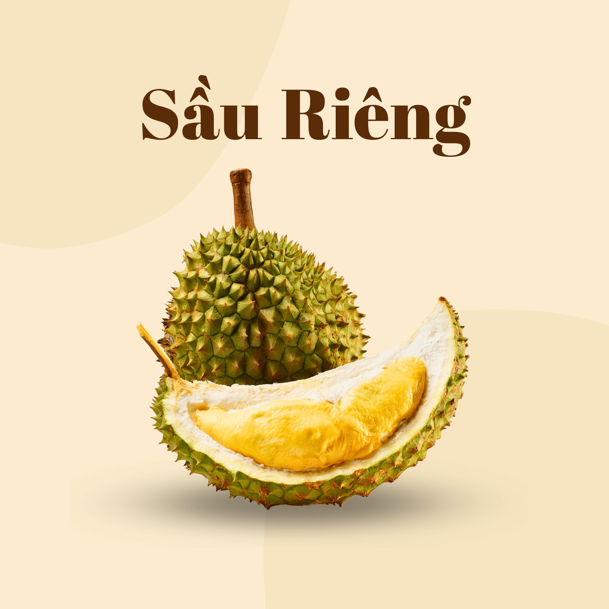 Sầu Riêng Ri6 | Durian Ri6 | Frozen | FREESHIP OVERNIGHT