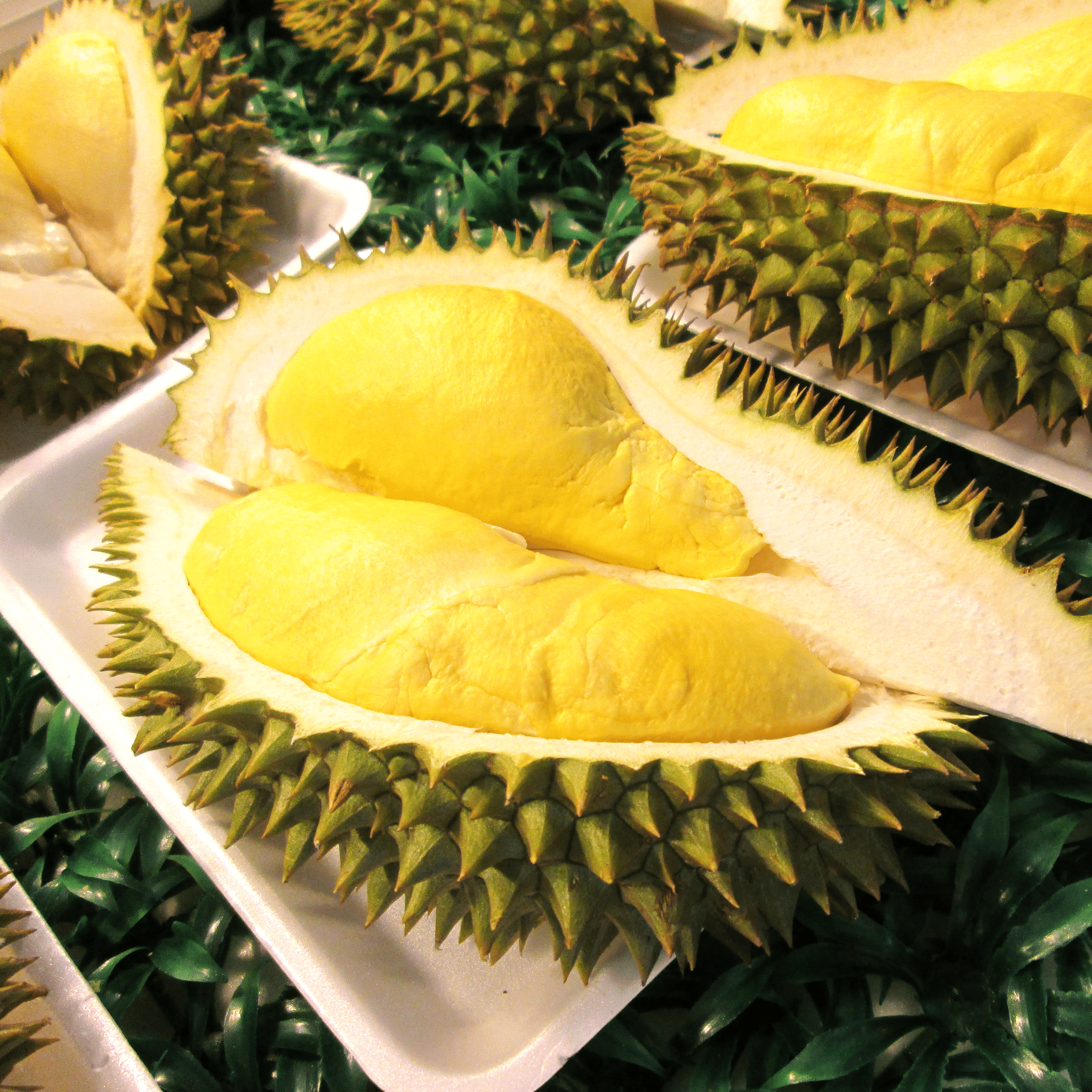 Sầu Riêng Ri6 | Durian Ri6 | Frozen | FREESHIP OVERNIGHT