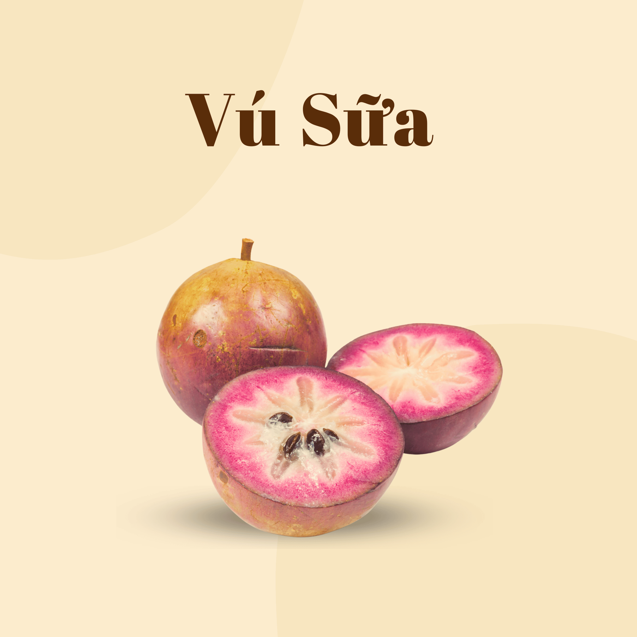 Vú Sữa Tươi | Fresh Star Apple