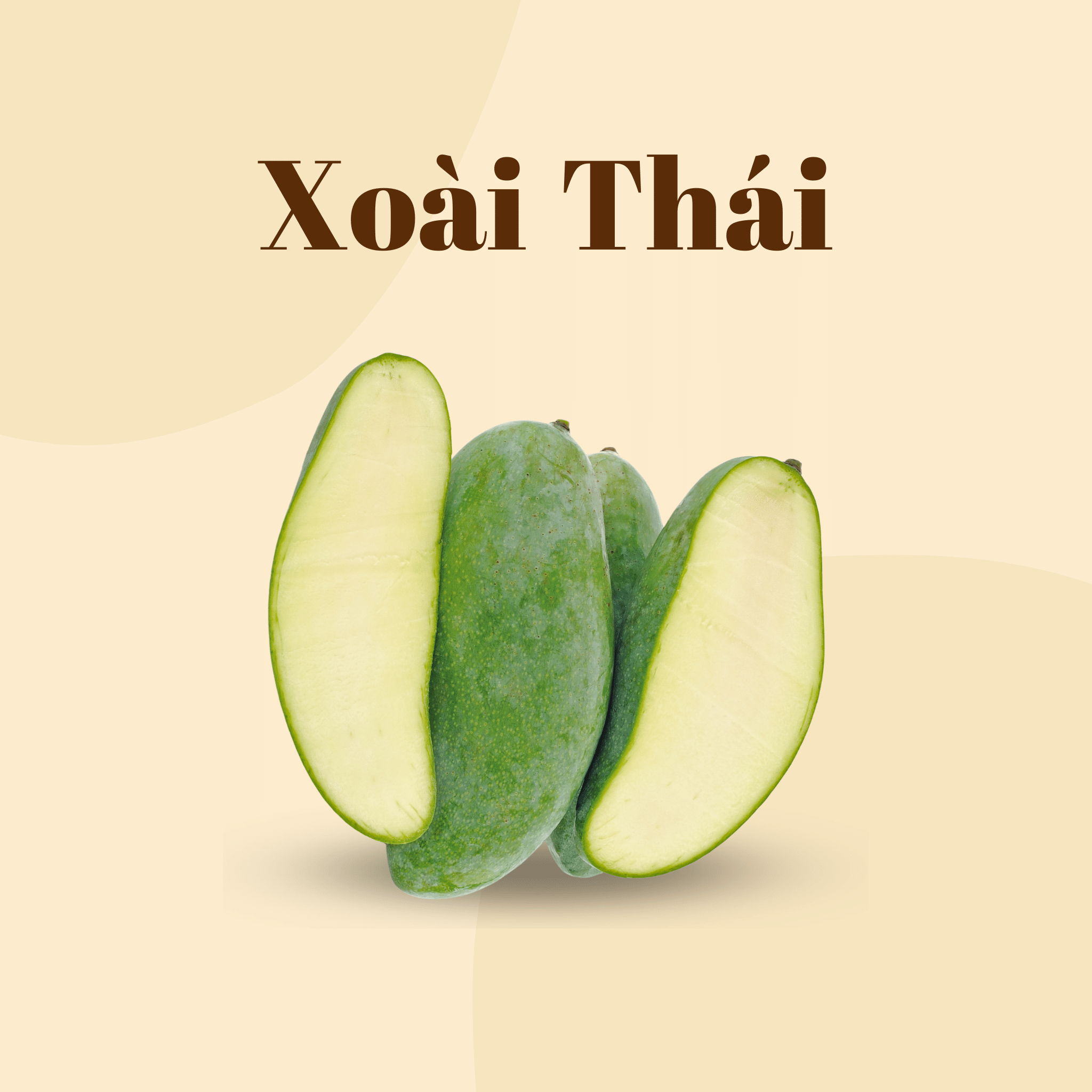 Xoài Thái Việt Nam | Thai Mango VN | Freeship overnight