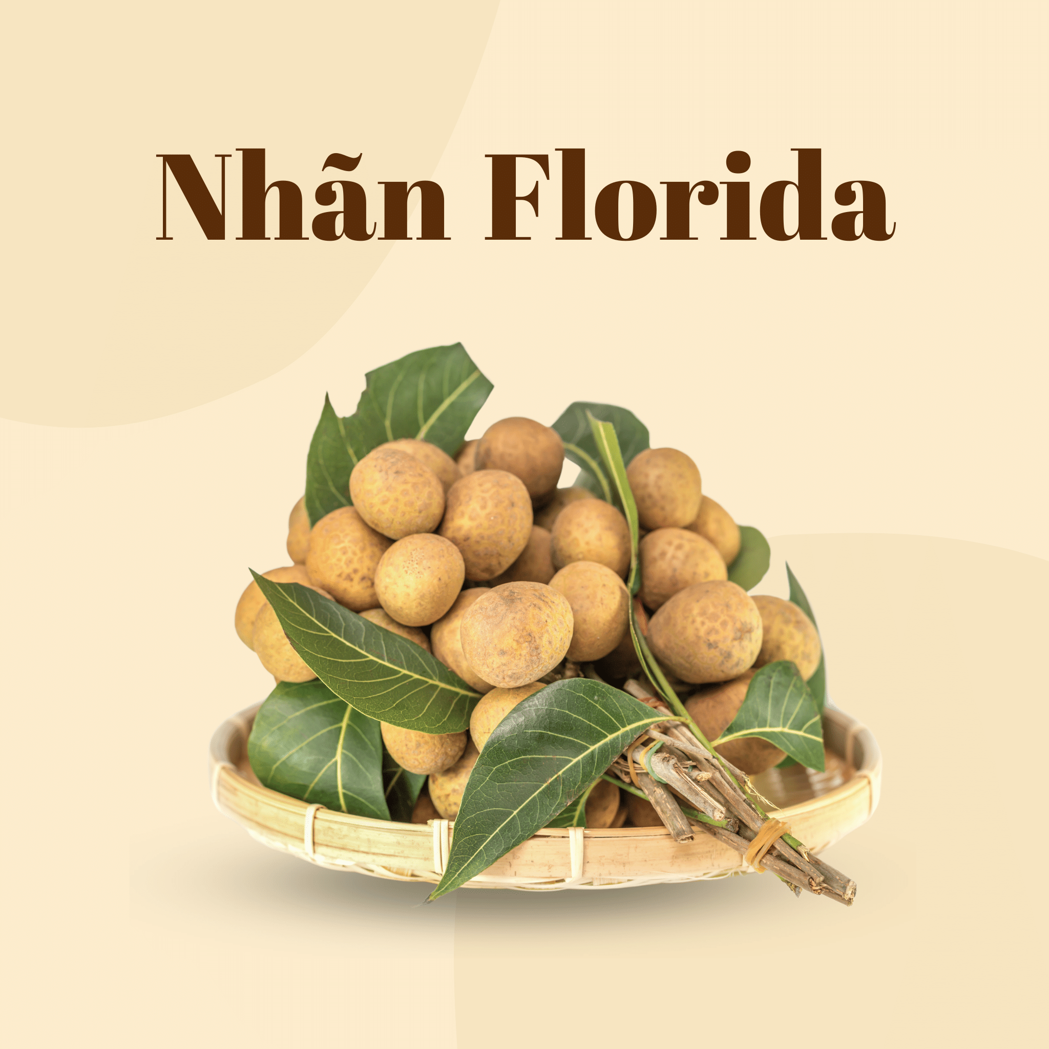Nhãn Florida | Florida Longan | Freeship Overnight