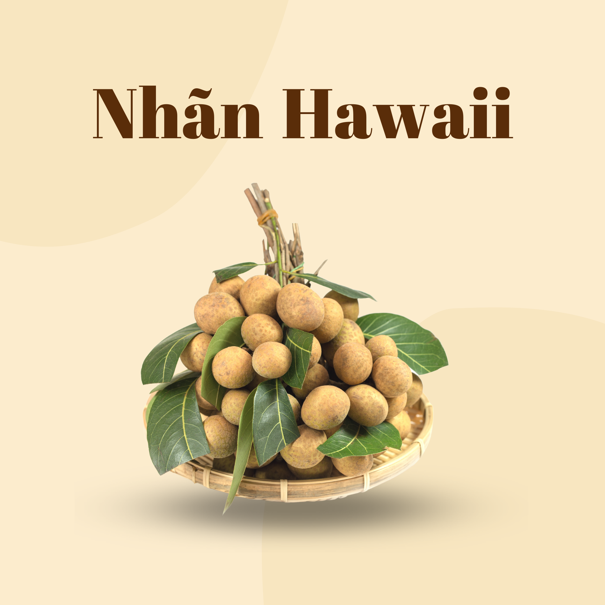 Nhãn Hawaii Tươi | Fresh Hawaii Longan | FREESHIP OVERNIGHT